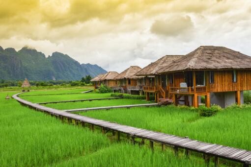 碳資產(chǎn)管理的具體流程是什么？企業(yè)如何獲得碳資產(chǎn)？