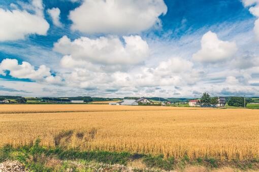 英大碳資產(chǎn)盈利模式是什么？英大碳資產(chǎn)介紹！