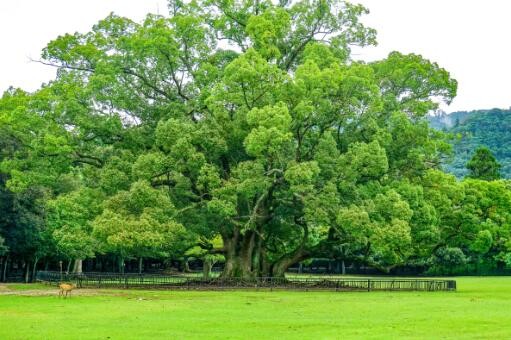 福州市市場(chǎng)監(jiān)督管理局開(kāi)展碳排放核查檢驗(yàn)檢測(cè)機(jī)構(gòu)排查整治工作